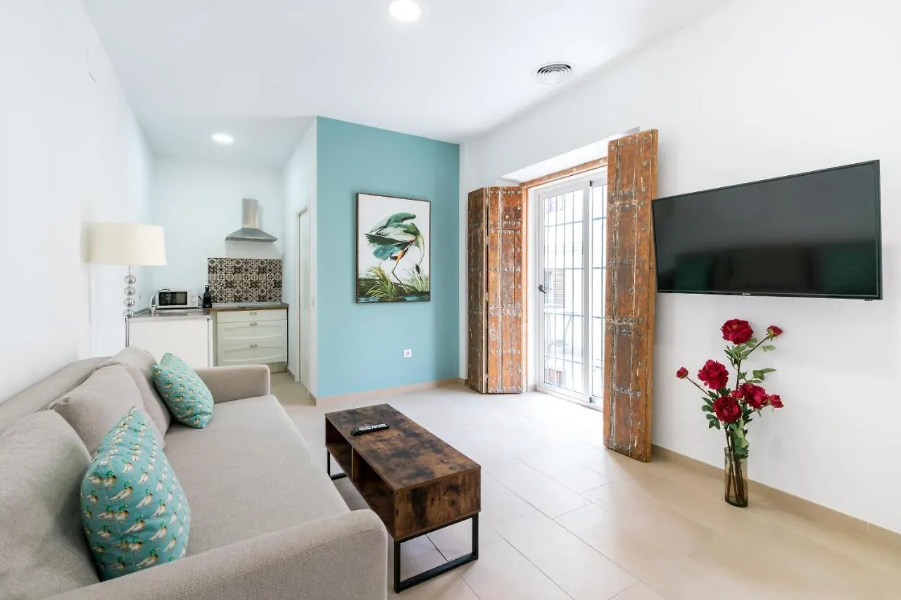 Olehousing-San Lorenzo Seville Spain