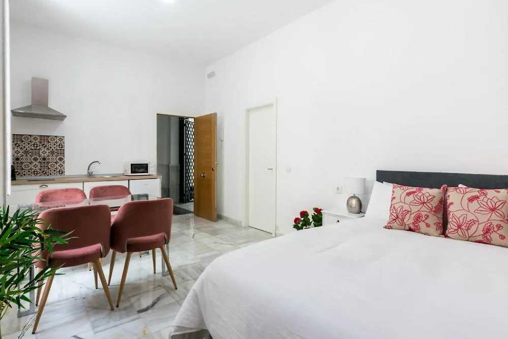 Apartment Olehousing-San Lorenzo Seville Spain