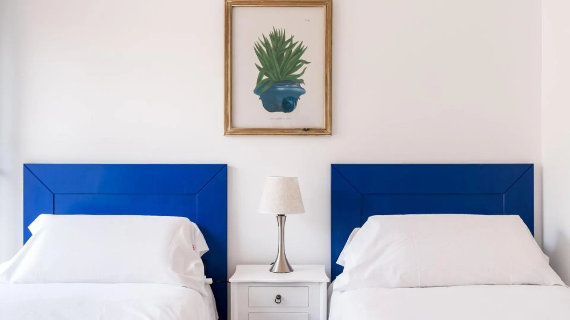 Olehousing-San Lorenzo contacts